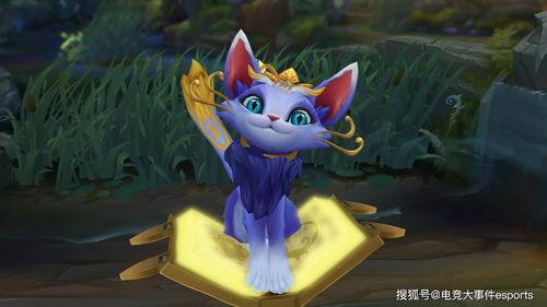 魔法猫咪设计师爆料视频,设计师爆料视频大公开 第1张 魔法猫咪设计师爆料视频,设计师爆料视频大公开 第1张